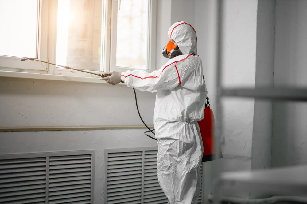 Professional mold remediation services in Larue, TX